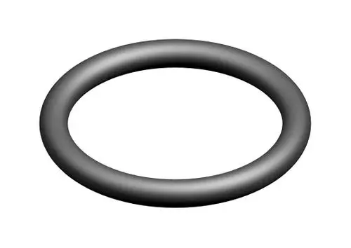 Dunkler O-Ring mit kreisförmiger Form, dargestellt auf hellem Hintergrund. Produkt von Bosch, geeignet für Dichtungsanwendungen in verschiedenen Systemen.